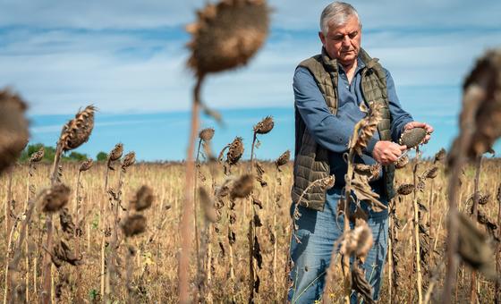 First Person: Vulnerable Ukrainian farmers plough self-sufficient furrow